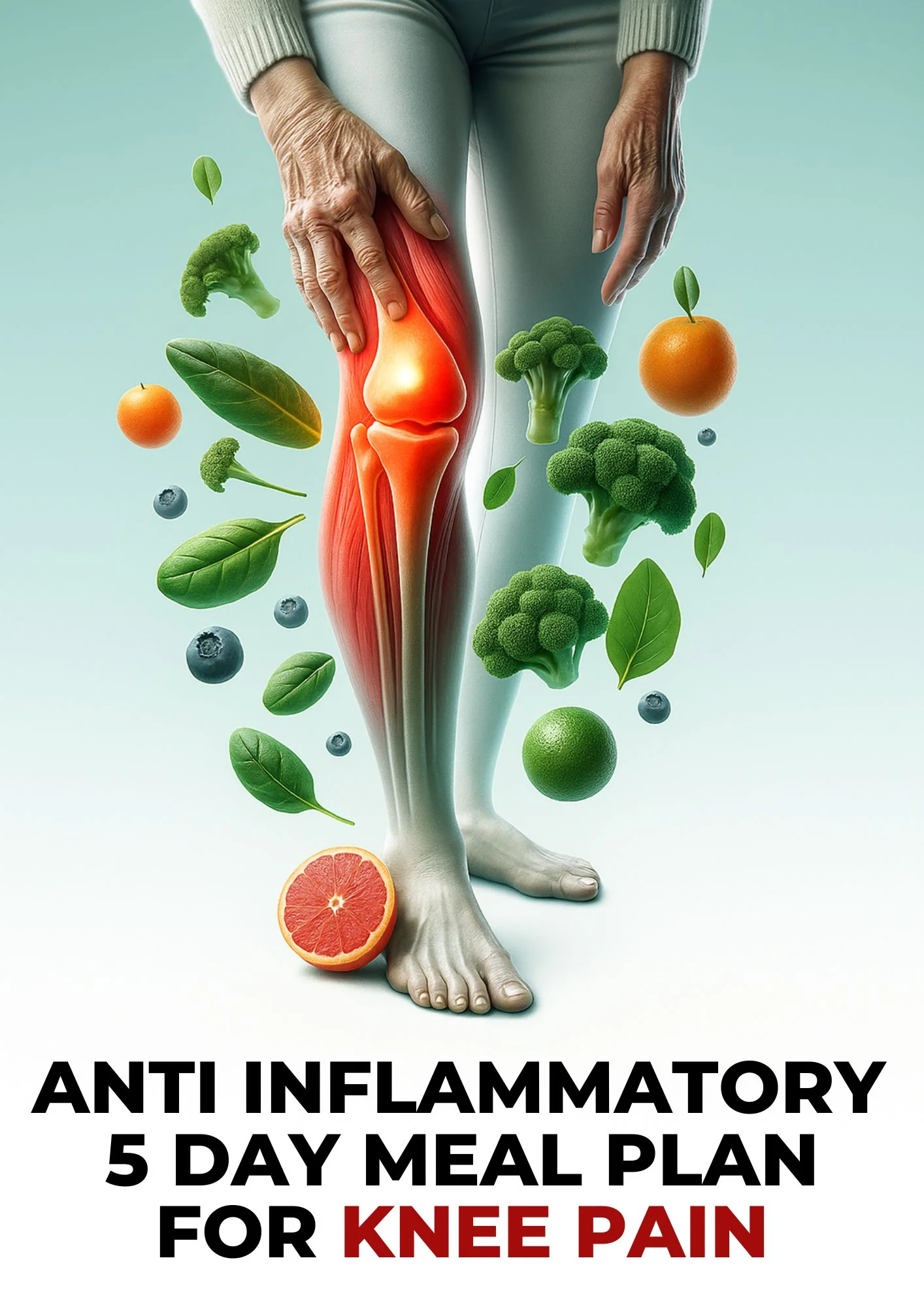 Anti Inflammatory 5 Day Meal Plan For Knee Pain